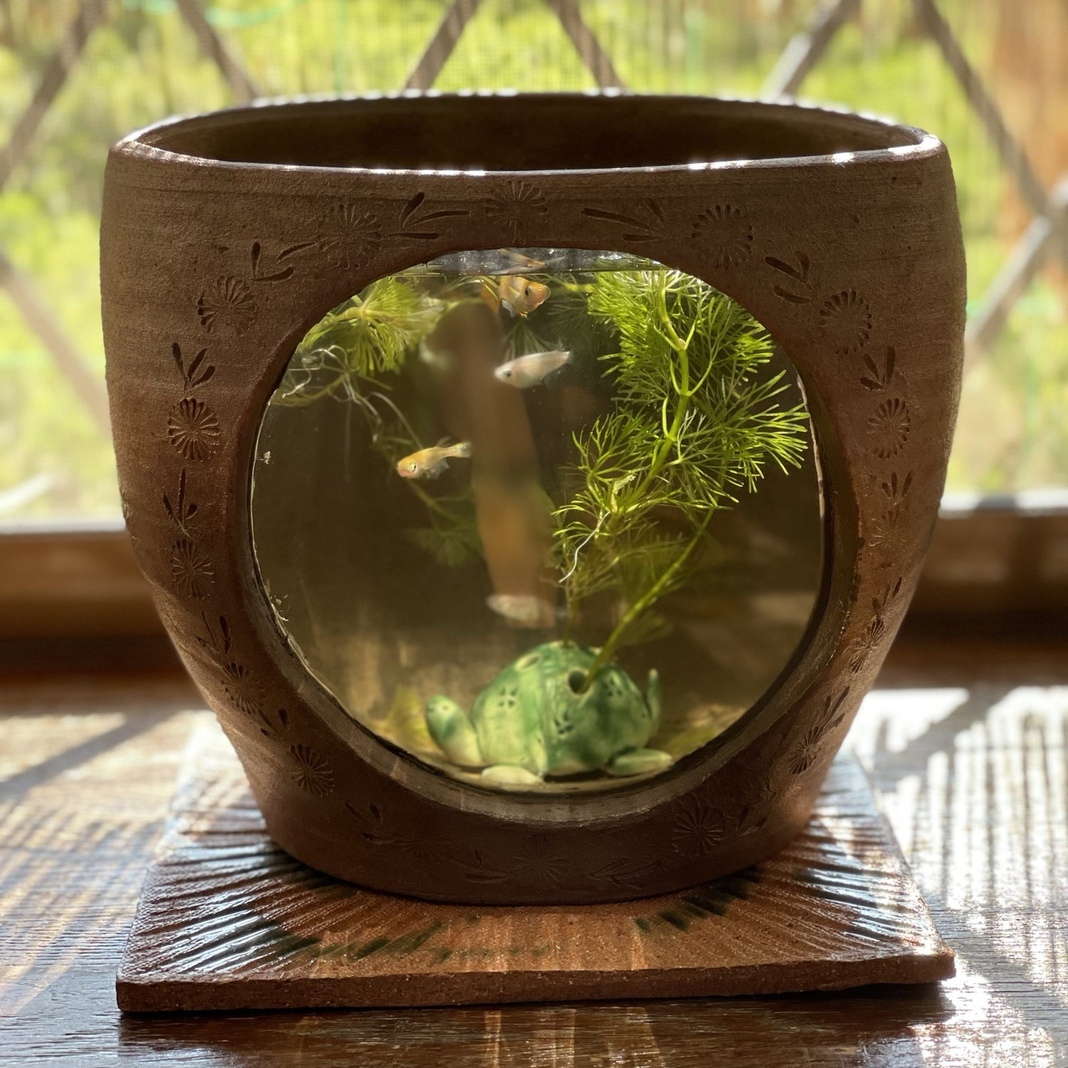 ced98412ca033784dabf4e9a0b0193