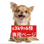 専用ページ