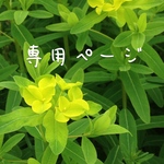 bb2199さま専用ページ