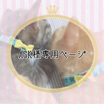 ｡* ❤︎… ASK様専用ページ…❤︎*。