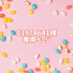 13974641様専用ページ