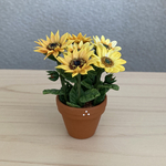 ひまわり  花鉢　3