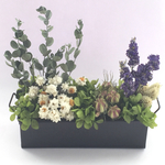 Little garden