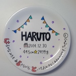 完全オーダー制*生誕祝い名前いりプレート