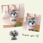 13741374ya 様専用♡バッグinカンカン帽わんこ『うちの子オーダー』(mii wool&wool)