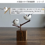 ⭐️新作⭐️シマエナガ　2羽【部屋の中で野鳥観察シリーズ】