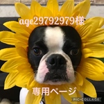 age29792979様専用ページ❤︎顔出しシリーズ❤︎犬用ひまわり