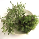 dogwanw様専用ページ