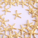 ★☆ヒトデチャーム☆★３０個