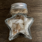 星形　貝殻瓶詰め