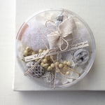 【sale】ペトリ皿に入った植物コラージュ(ホワイト)