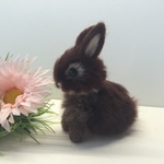 掌うさぎ♡(チョコレート)