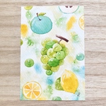 🍏透明水彩画「爽やかフルーツ」北欧イラストポストカード２枚セット　暑中見舞い　残暑見舞い　夏　マスカット　リンゴ　りんご　青リンゴ　マスカット　レモン　果物　癒し🍏