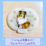 写真入り＊ウェットティッシュのふた