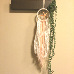 ☆★Dream Catcher★☆ White & Coral