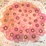 ♡人気作品♡ 作家様必見！ 落ち着いた大人カラー♡フロックス押し花セット
