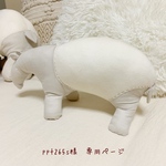 ＊ppt265s様　専用ページ＊