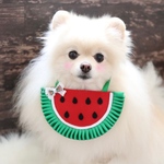 限定品❣️スイカのあぶちゃん🍉ゴージャスサテン✨