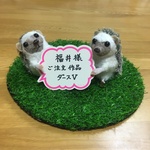 オーダーメイド　ダースＶ　あみぐるみ♪