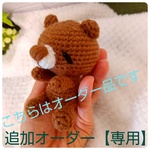 追加オーダー【専用】