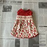 　シックなチューリップ　ワンピ☆　犬服