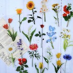 PETシール・花🌸20枚・海外シール