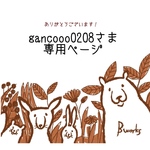 gancooo0208さま専用