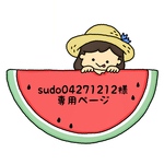 sudo04271212様専用ページ