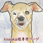 お客様専用ページ