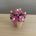 ハイビスカス　8  花籠