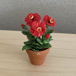 ハイビスカス　4  花鉢