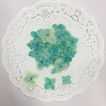 NO.704 増量✨ライム色の小さなアナベル