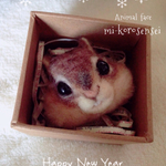 【再販】送料¥0 シマリスくん(冬ver.小屋型BOX付き)