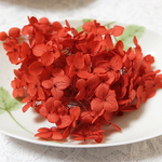 ＊ただ今割引中＊　アナベル紫陽花　あじさい　アジサイ　プリザーブド　レッド
