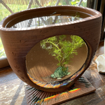 優雅に泳ぐ姿に心奪われてしまう🐟💕炭化焼き陶器のガラス付水槽鉢(大)