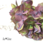 あじさい花びら Green&purple 20輪 30枚 024