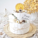 クレイケーキ　飾り付き　ウェルカムスペース　ホワイトポポラス×木の実　誕生日ケーキ　結婚式