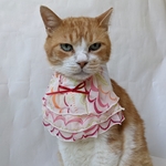 ラブリーフリルドレス
