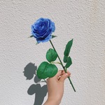 mini flower/ブルーローズ/A0167