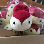 【訳あり】りんごうさぎ(お口なしver)