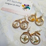 ＊秋オススメ＊❁﻿ドライフラワー❁﻿花束の代わりに ピアス・イヤリング【全品600円】