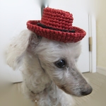 カウボーイハット👒