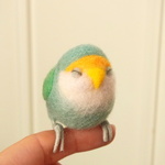 ふくふく　おねむな手乗りインコ（コザクラ・ブルーチェリー））