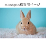 ⭐︎monapan様専用ページ⭐︎