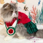スイカのポシェット🍉　赤スイカ✨