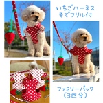 レッドいちご他 袖フリル付 ハーネス ファミリーセット（3匹分）お客様ご注文分