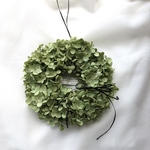 アナベル紫陽花のグリーンリース