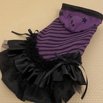 完成品犬服M☆ワンピース☆HALLOWEEN