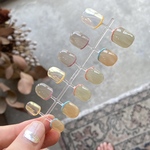 nail chip assort.