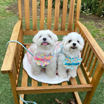 🐶お名前よだれかけ